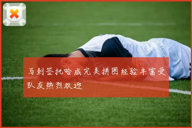 马刺签托哈成完美拼图经验丰富受队友热烈欢迎